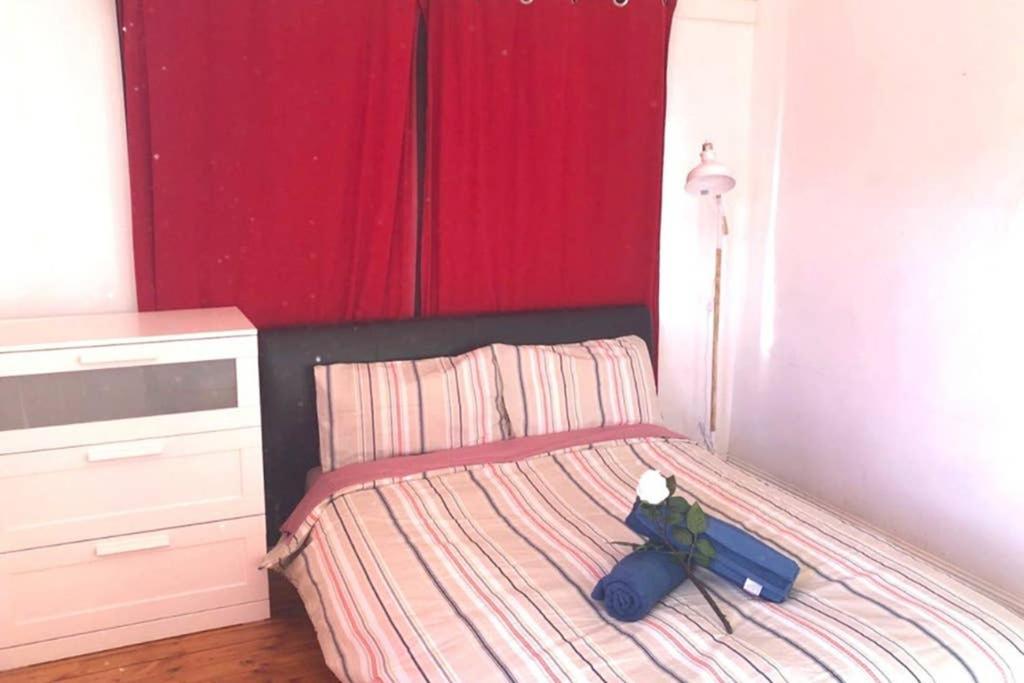 Modern Charming Miners' Cottage +Free Internet Broken Hill Ngoại thất bức ảnh